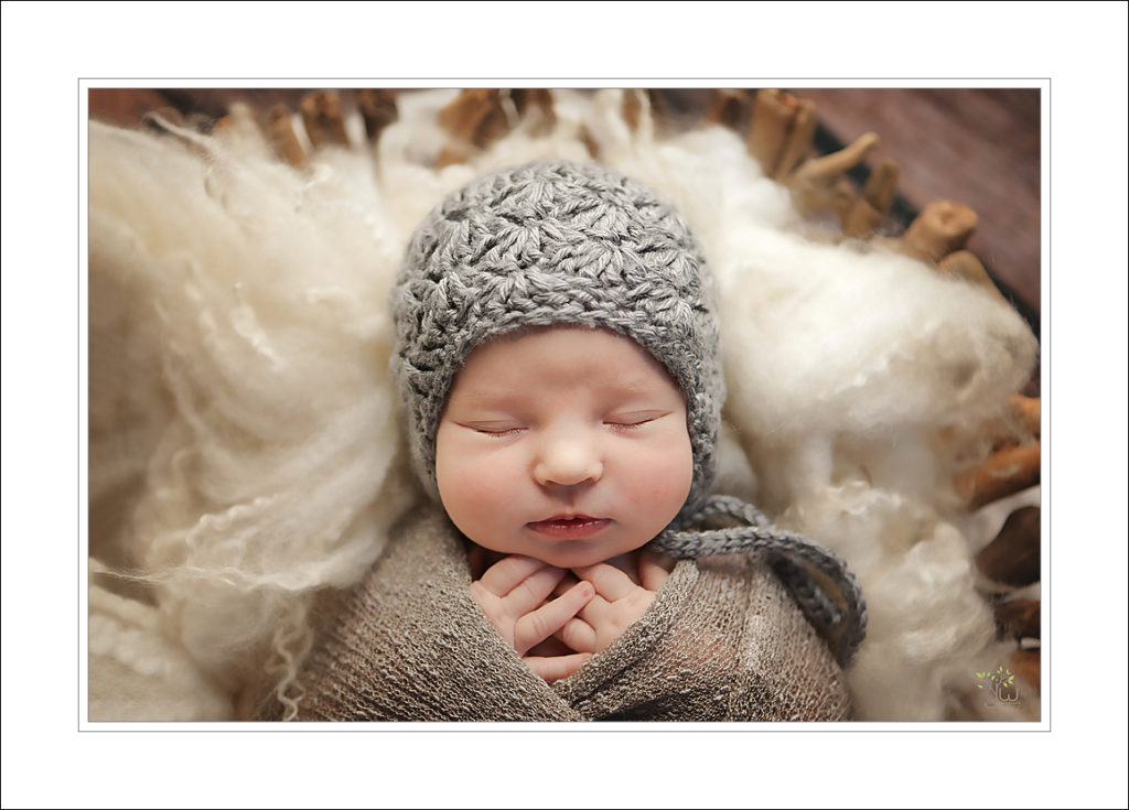 Auburn newborn photographer